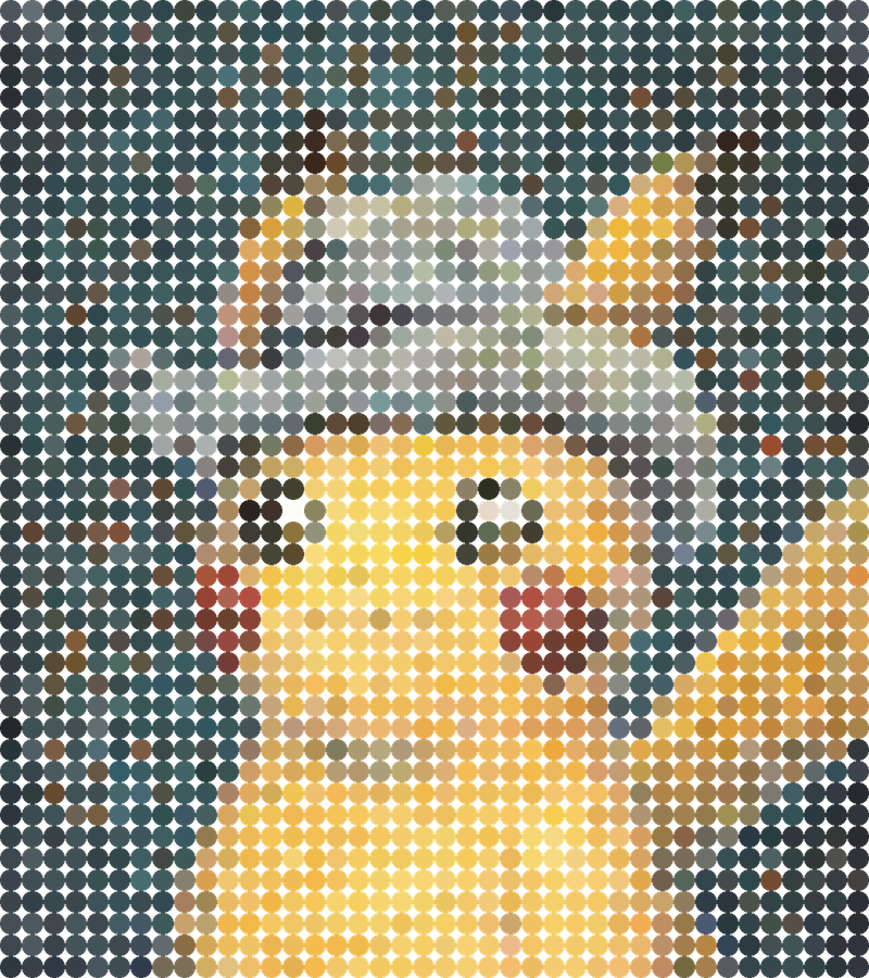 Grey Hat Pika